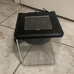 Aquarium Set 