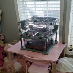 Hamster Cage