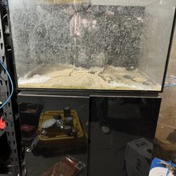 Reef Tank/fish Tank