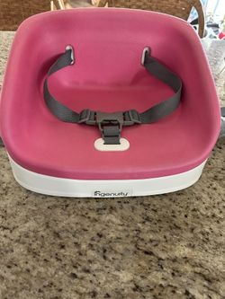 Ingenuity Booster Seat