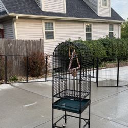 Wheeled California Cages Co. For  Birds. 