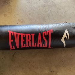 Punching bag Everlast