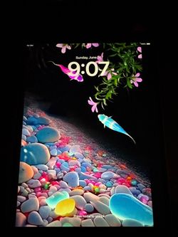 Apple iPad Pro