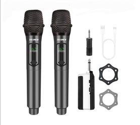 Professional Dual Microphone System