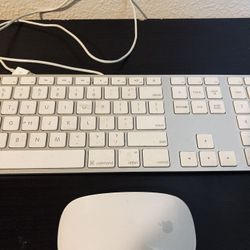 APPLE KEYBOARD & MOUSE