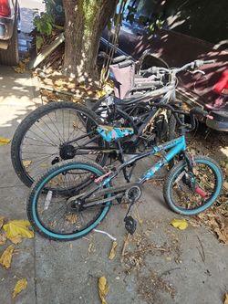 Bikes kids and adults