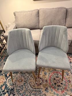 World Market Velvet Dining Chairs - Set of 2