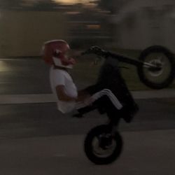 Tuttio Soliel 1 Sell Or Trade