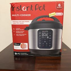 Instant Pot 9-in-1 Pressure Cooker