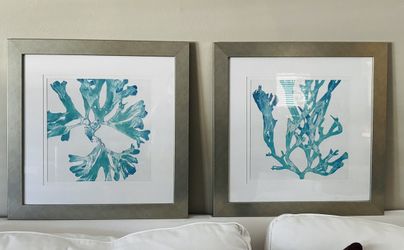 HomeGoods Coastal Teal Coral Framed Art Prints – Set of 2 (24"x24")