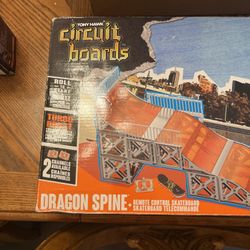 Tony Hawk Circuit Boards He bug