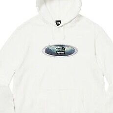 Supreme The North Face Lenticular Mountains Hooded Sweatshirt White L TNF Large