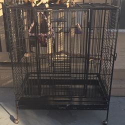Parrot Cage For Large Birds (Macaws and Other)