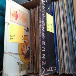 Vinyl Record Collection 