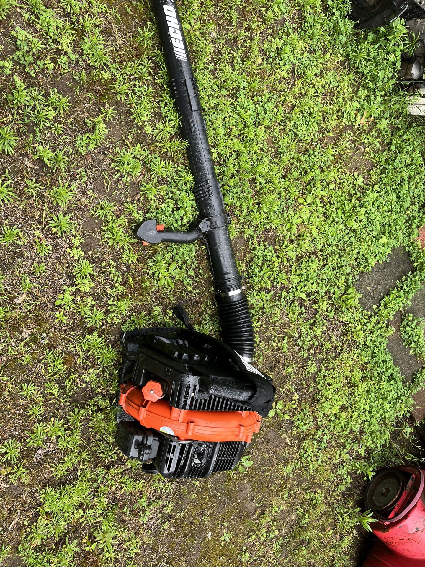 Echo Backpack Blower