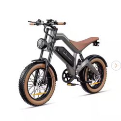 20 in. 750W Fat Tire 48V Removable Lithium Battery Shimano 7-Speed Electric Bike for Add 