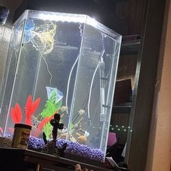 Fish Tank With Fish