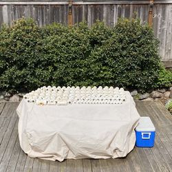 PVC Fittings Large Supply Of Compression Coupler T’s