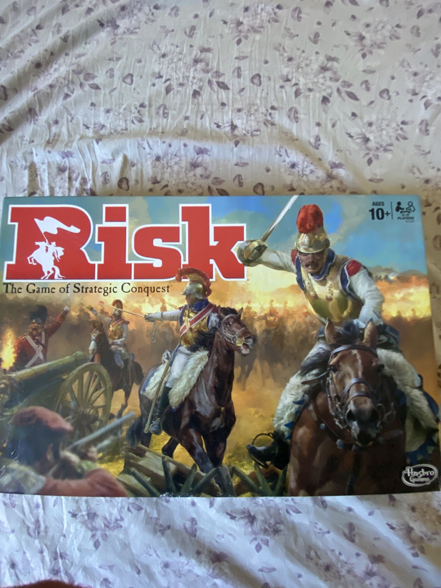 Risk Board game