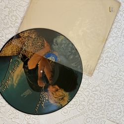 Rod Stewart picture disc LP
