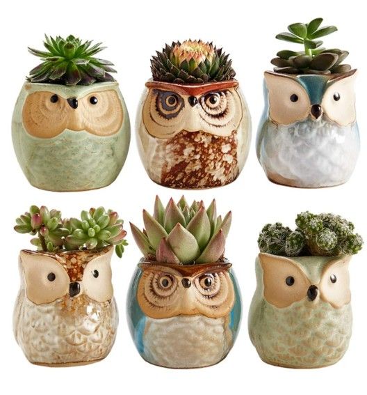 Owl Pots / Planters
