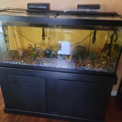 75 Gallon Fish Tank & Cabinet 