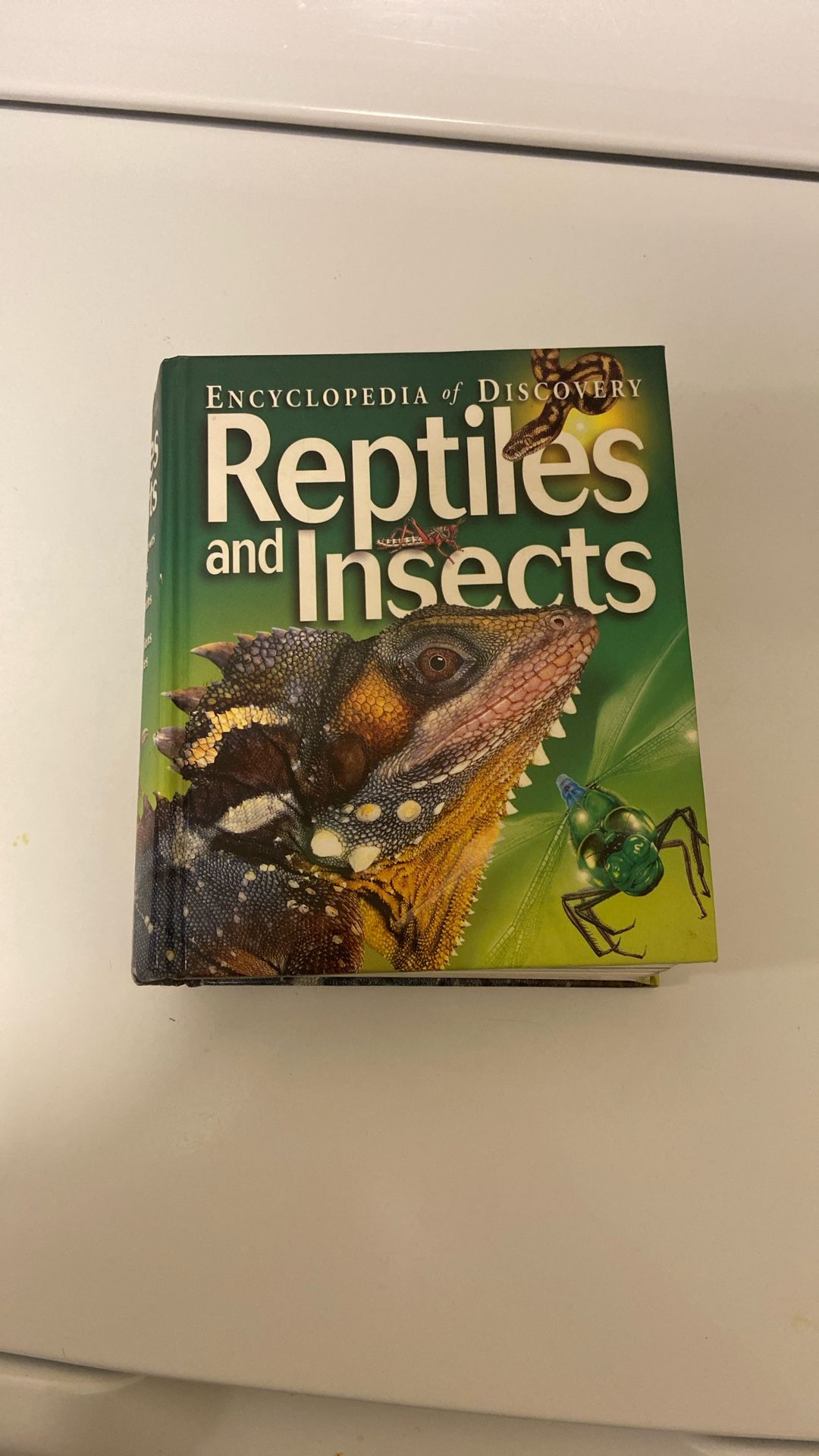 Encyclopedia Of Discovery Reptiles And Insects
