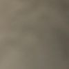 Alexa