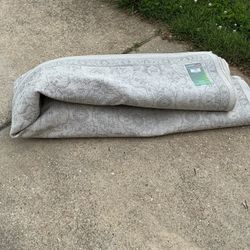 A  Very Big,  Good Light Rug With A Little Dirt ( Needs A Good Cleaning)