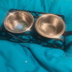 Dog Bowls 