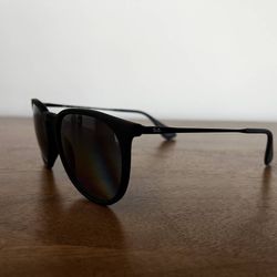 Ray-Ban Erika Color Mix