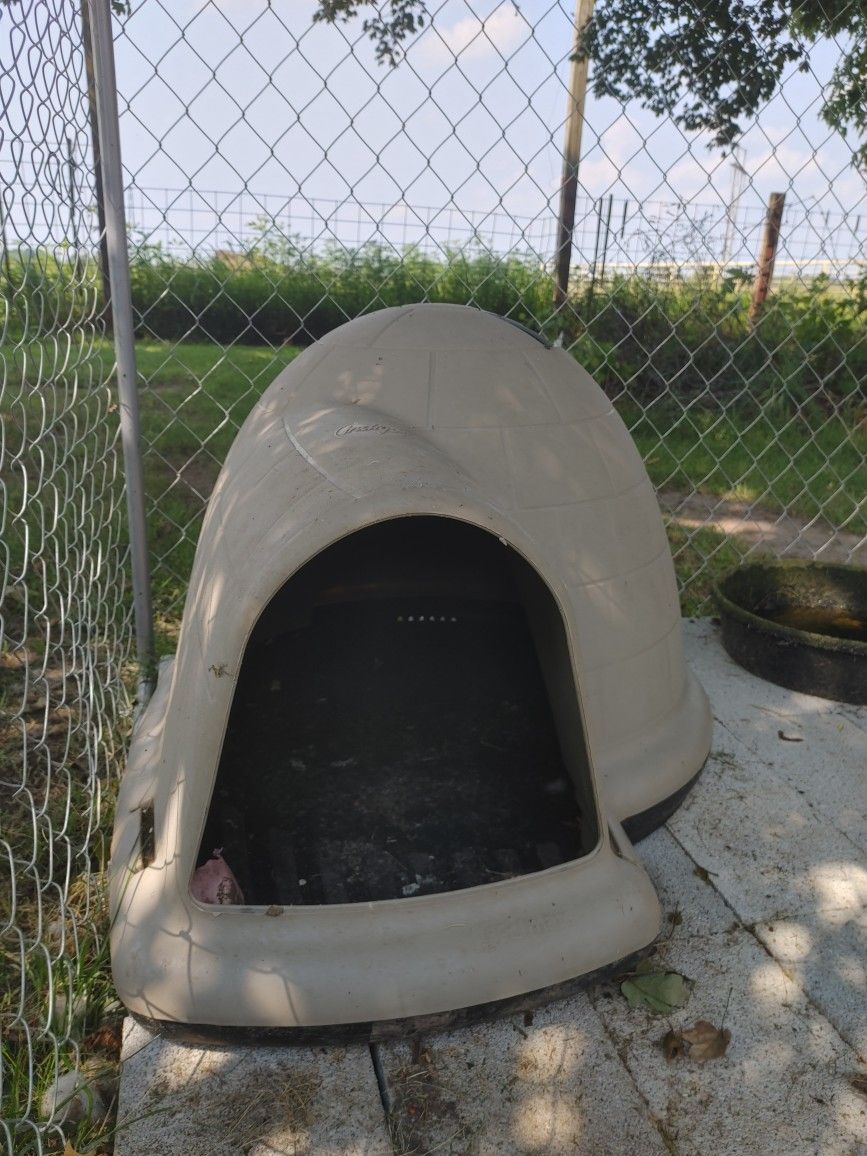 Dog House Igloo brand