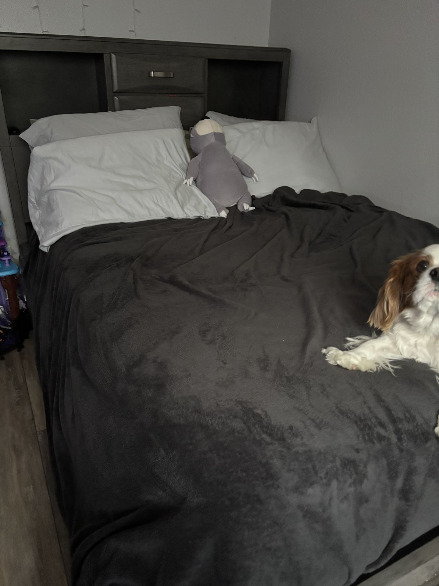 Full Platform Bed with storage
