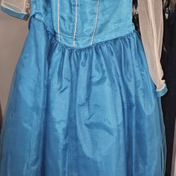 Princess Elsa's  Dress 