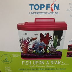 Beta Fish Tank