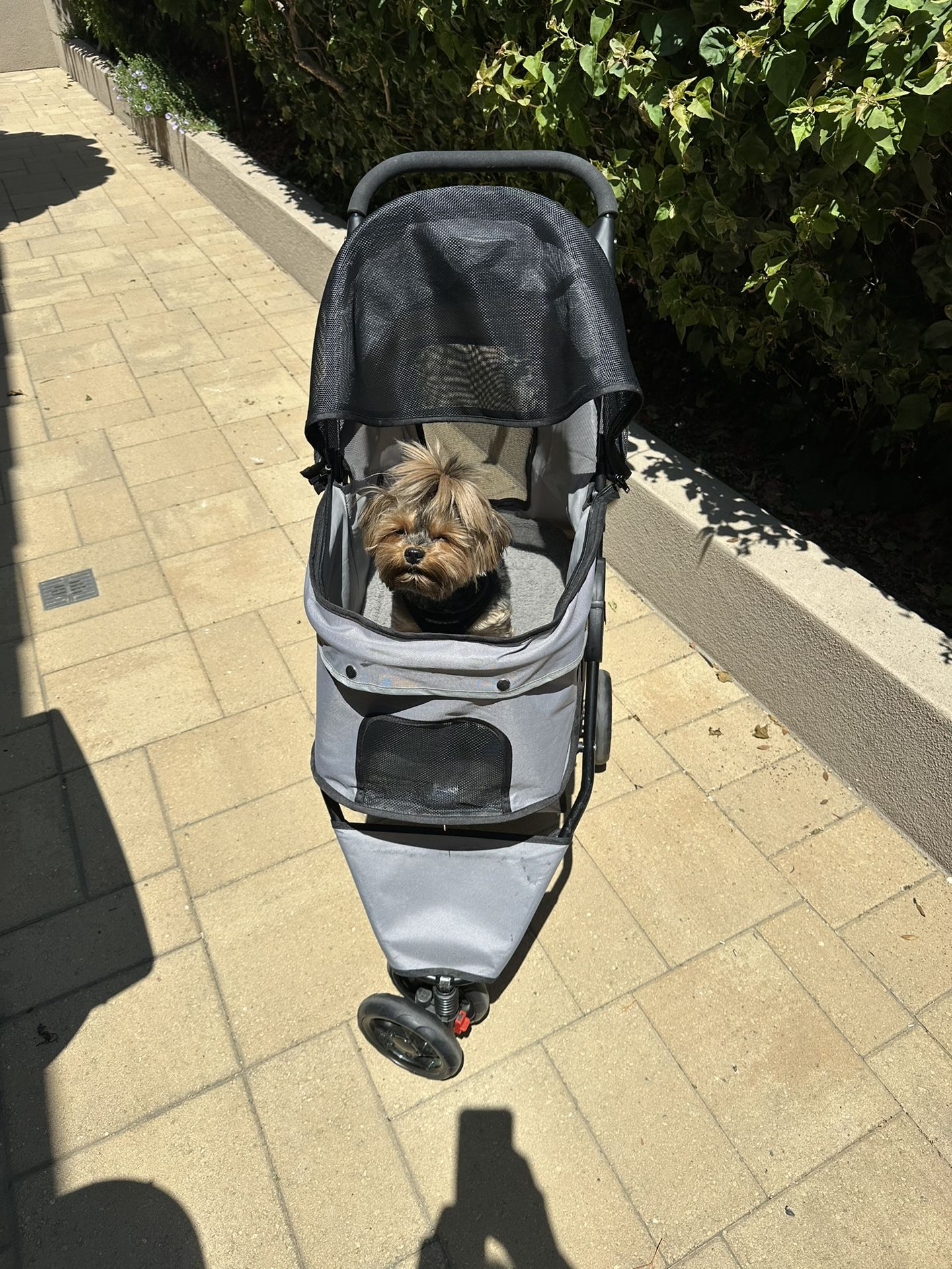 Dog Stroller - Light weight 