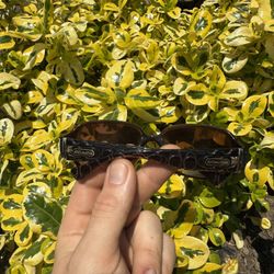 Coach Sunglasses 