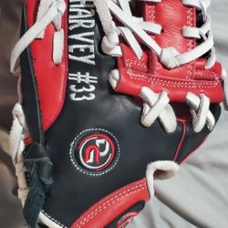 DGC CUSTOM LEATHER SOFTBALL GLOVE