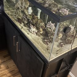 40 Gallon Tank With Stand