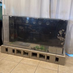 140-150 Gallon Acrylic Tank