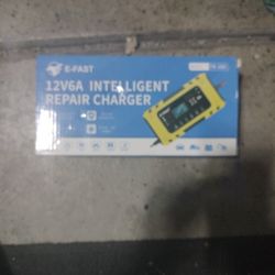 Battery Charger