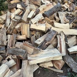 Firewood 