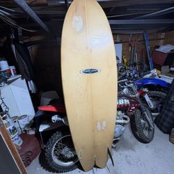 Bruce jones 6’3” Fish