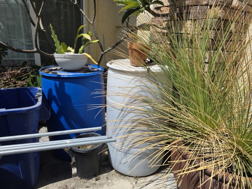 Free Usef 275 Gal Totes & 55 Gal Plastic Drums