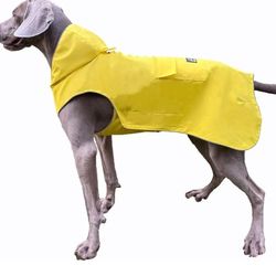 Dog Rainoat  Waterproof 