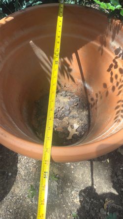 22” Terra Cotta pot,no cracks.  S.W.Arl