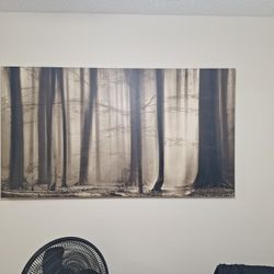 2 Wilderness Pictures