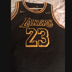 Lebron James Mamba Jersey