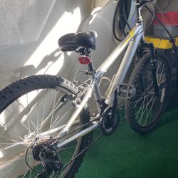 Teen Bike Excellent Condition- Like New 