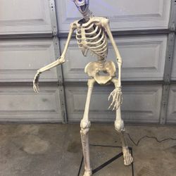 Animatronic Skeleton